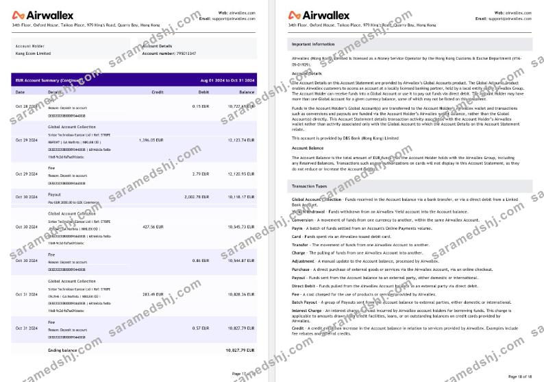 Hong Kong Airwallex Limited account statement, 18 pages 9